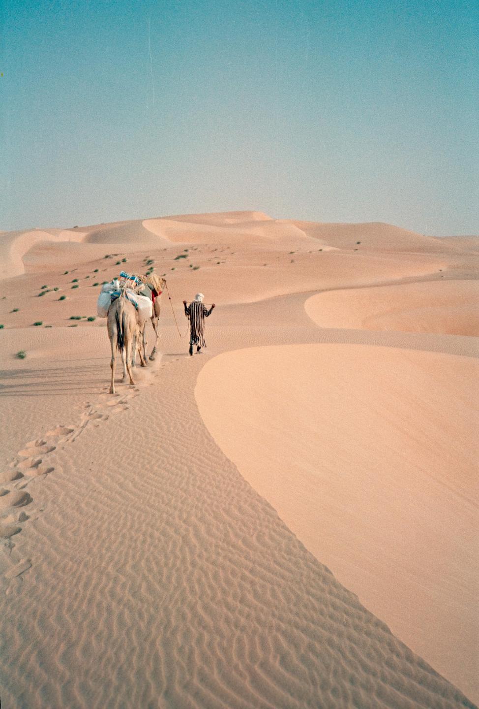 A man leads two camels across a vast desert landscape with rolling sand dunes.