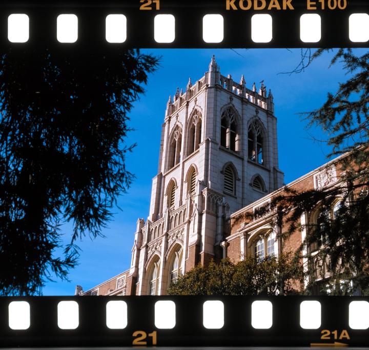 A tall, ornate stone tower with arched windows rises against a clear blue sky, framed by dark tree branches.