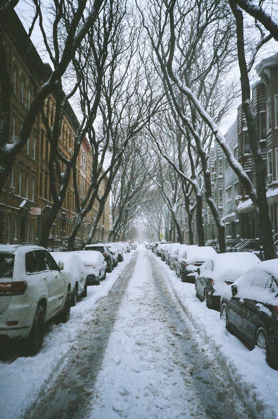 A snow-covered street is lined with parked cars and bare trees.