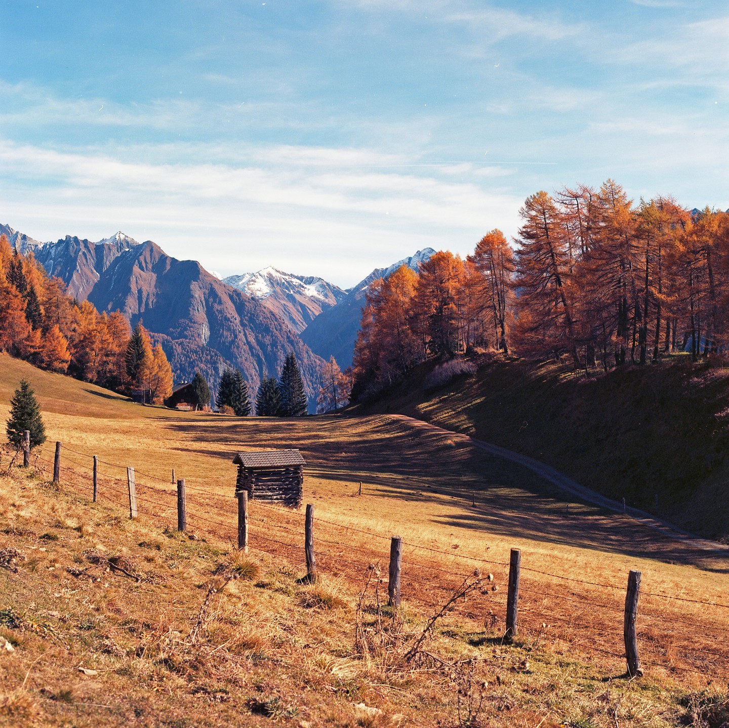 A small wooden hut stands in a golden field with a fence in the foreground, surrounded by mountains and autumn trees under a blue sky.