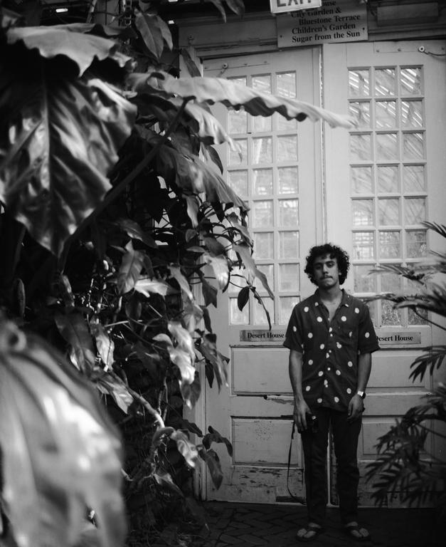 A man stands in front of a glass door with large leaves in the foreground.