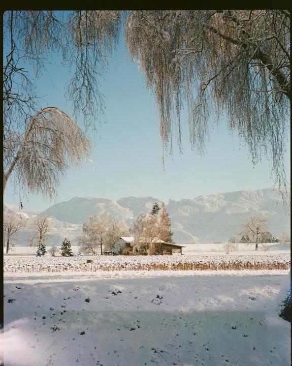 A snow-covered field and buildings are visible with mountains in the background and bare, icy tree branches in the foreground.