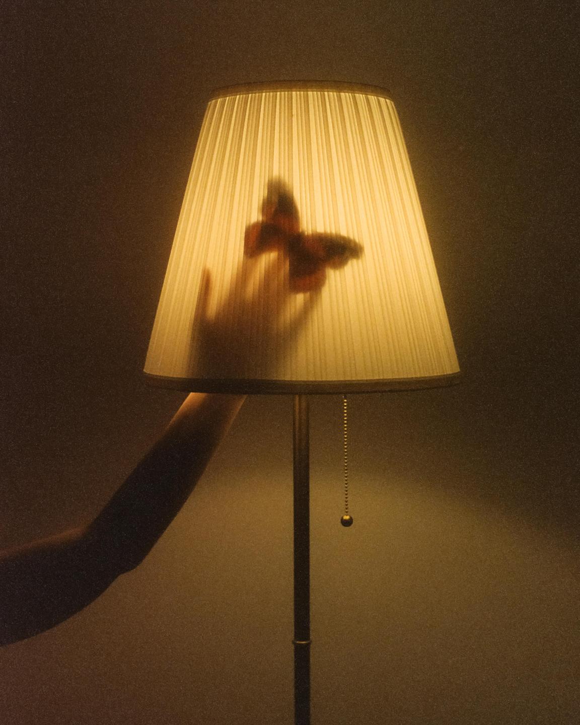 A hand and a butterfly are silhouetted against a glowing lamp shade in a dark room.