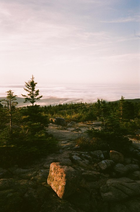 A rocky landscape with pine trees overlooks a valley filled with fog under a pale sky.