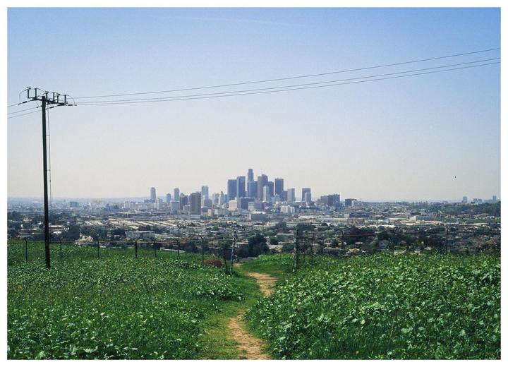 A dirt path leads through a field of green plants towards a distant city skyline under a hazy sky.