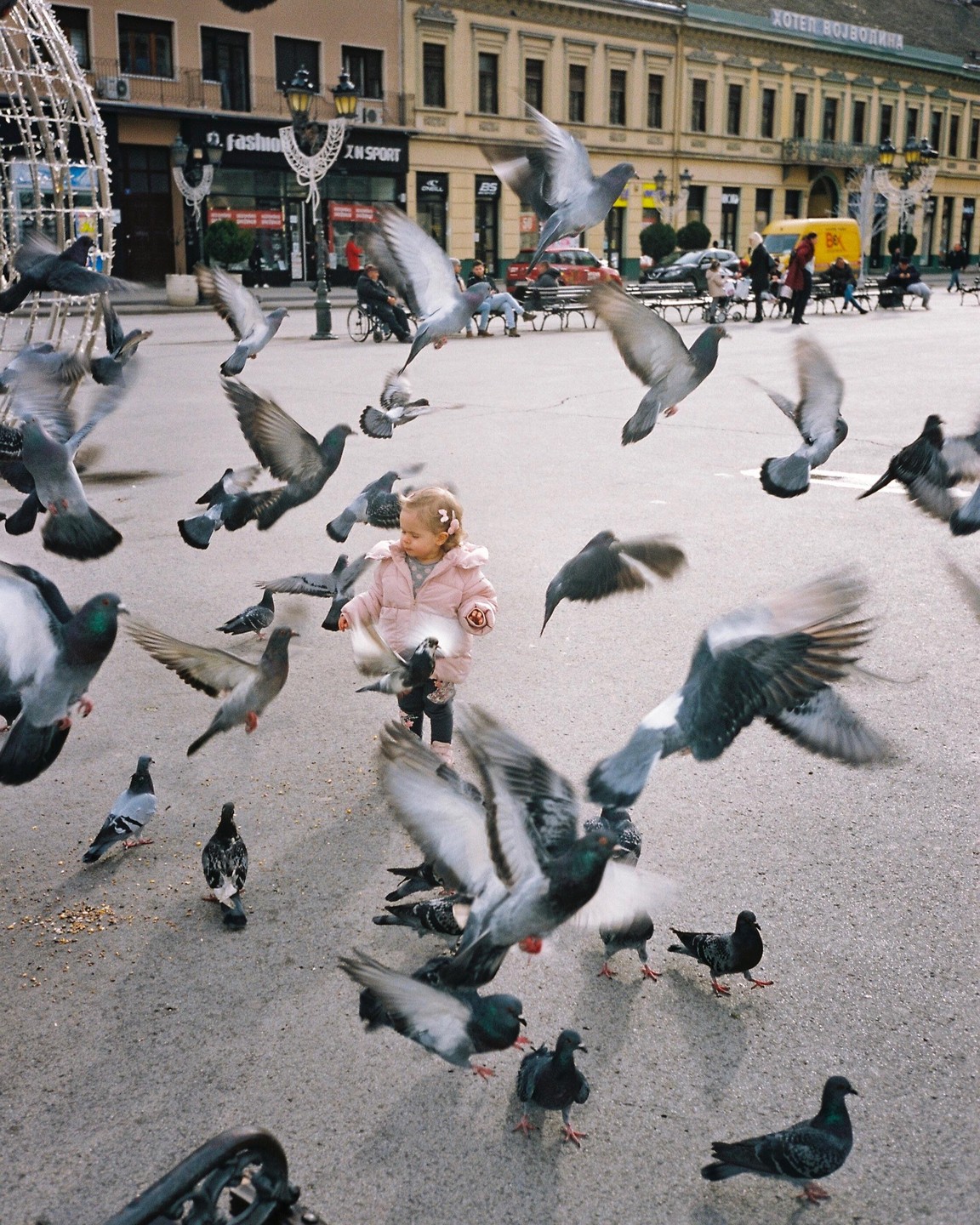 A child in a pink jacket stands among many pigeons on a city street.