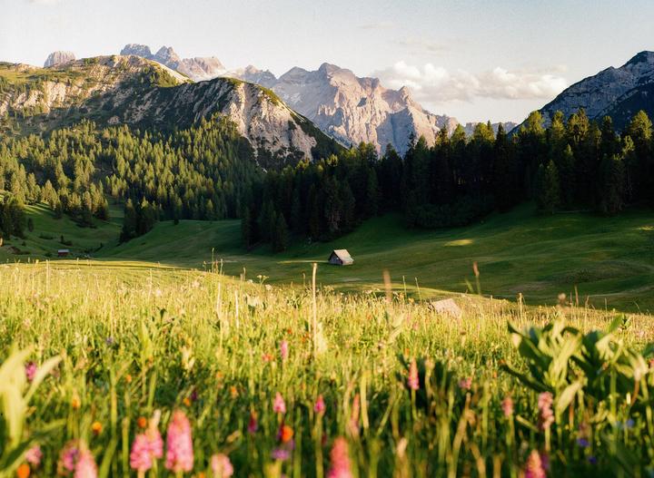 A small wooden hut sits in a green meadow surrounded by mountains and a forest.