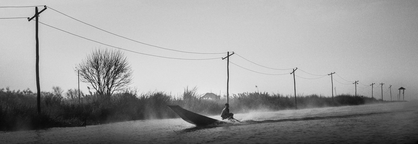 A person in a boat speeds across a misty lake, creating a large wake, with telephone poles and a bare tree on the shore.