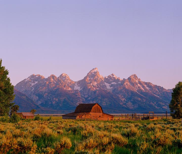A wooden barn and fence sit in a field of tall grass with snow-capped mountains in the background under a pink sky.