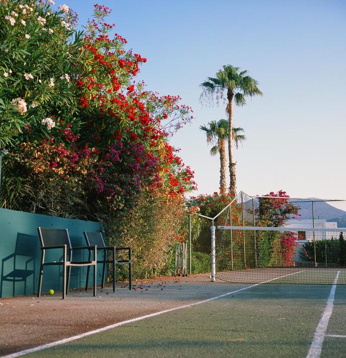 A tennis court with a net and two chairs is surrounded by flowering bushes and palm trees.