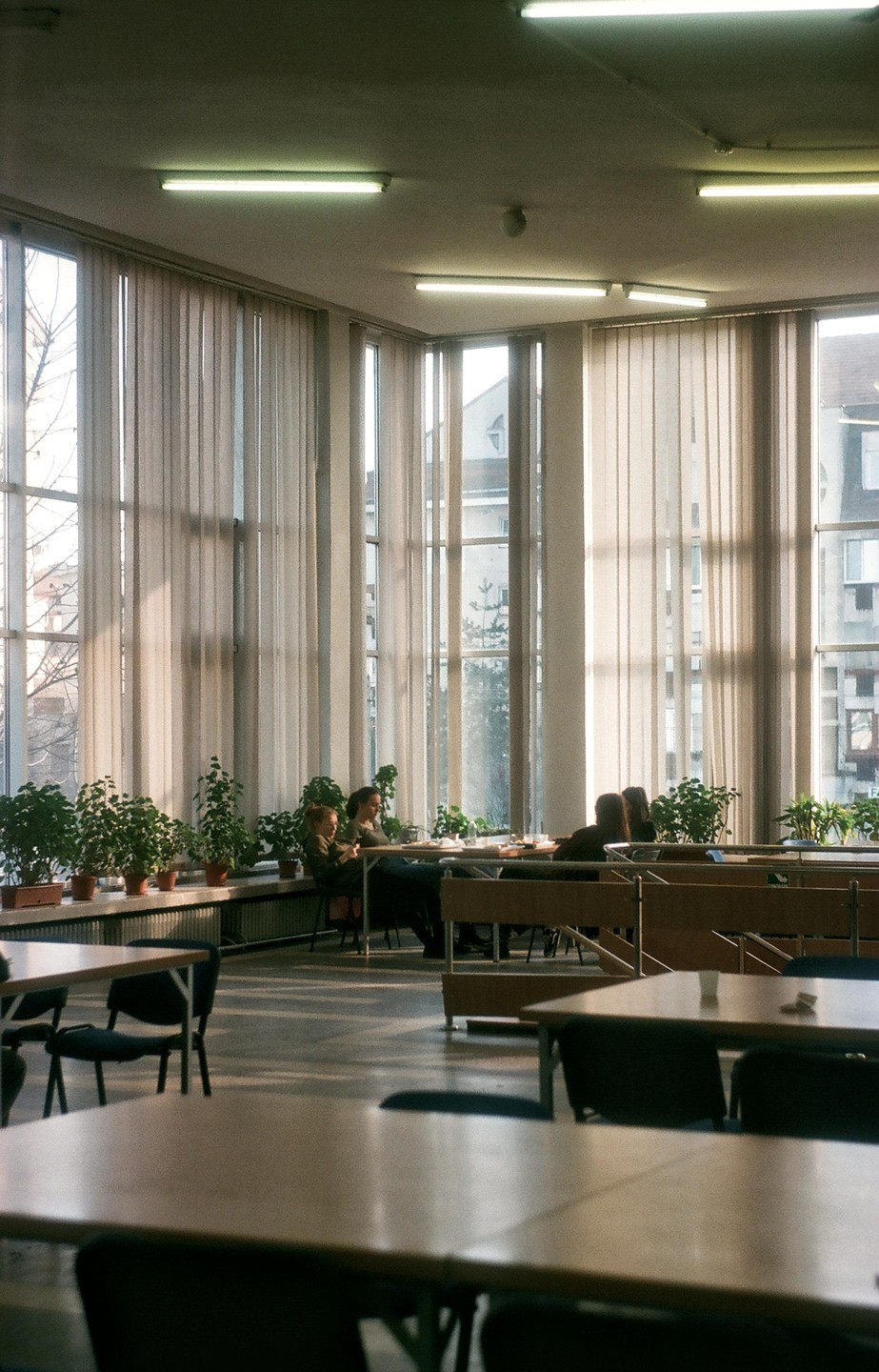Students are sitting at tables in a cafeteria with large windows and potted plants.