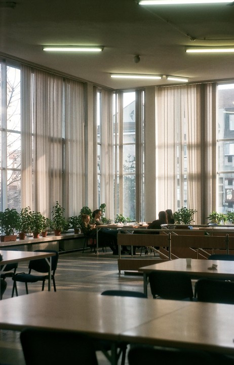 Students are sitting at tables in a cafeteria with large windows and potted plants.