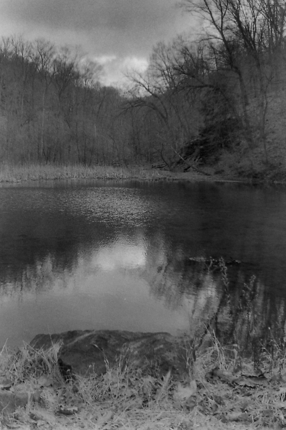 A body of water reflects the sky and bare trees on a cloudy day.