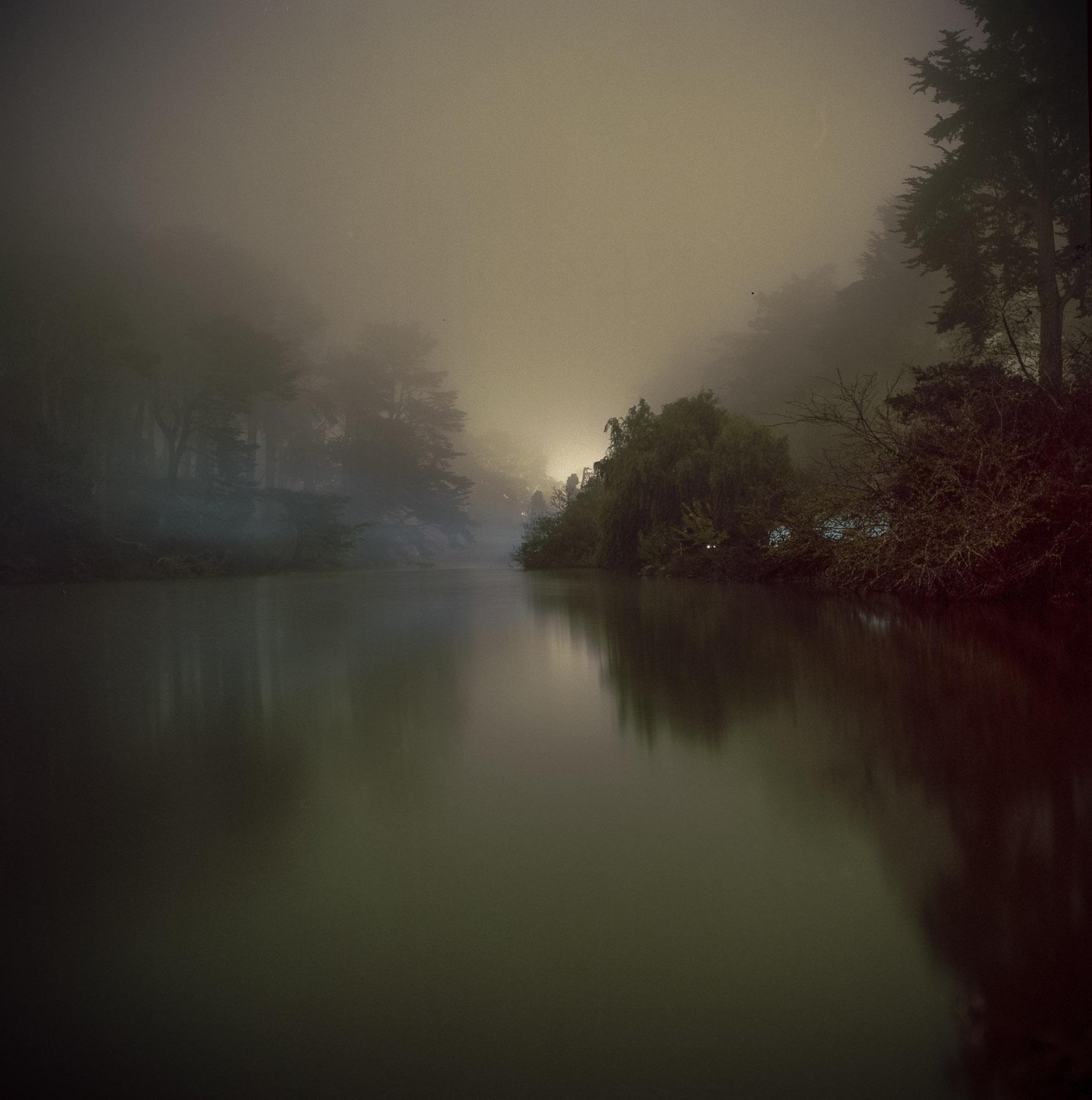A foggy night scene shows a body of water reflecting trees and a distant light source.