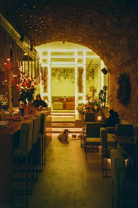 A dog lies on the floor of a bar with a vaulted stone ceiling, with a woman sitting at the bar and another woman sitting on a couch.