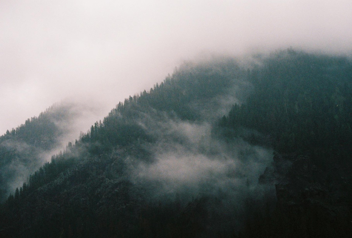 A dense forest covers a mountain range shrouded in fog.