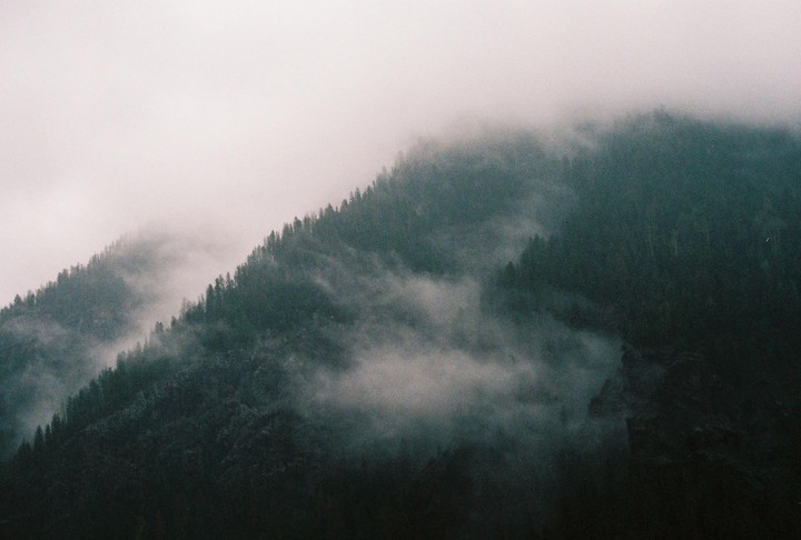 A dense forest covers a mountain range shrouded in fog.