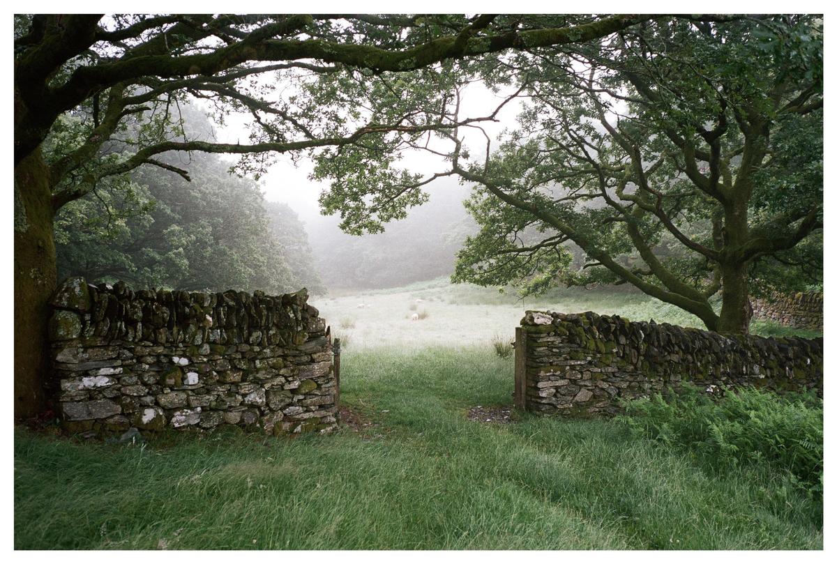 A stone wall with an opening stands in a grassy field under large trees, with a hazy forest in the background.