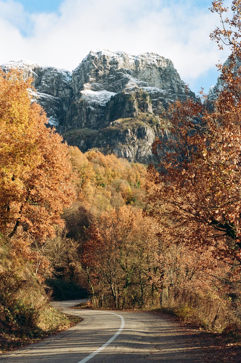 A winding road leads through a forest of autumn trees towards a snow-capped mountain.