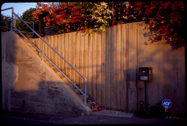A concrete staircase with metal railings leads up to a wall covered in red and white bougainvillea, with a mailbox displaying the number 965 and an ADT sign at the bottom.