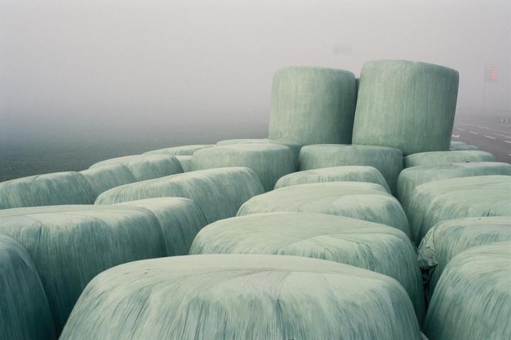 A field of hay bales wrapped in light green plastic sits beside a road on a foggy morning.