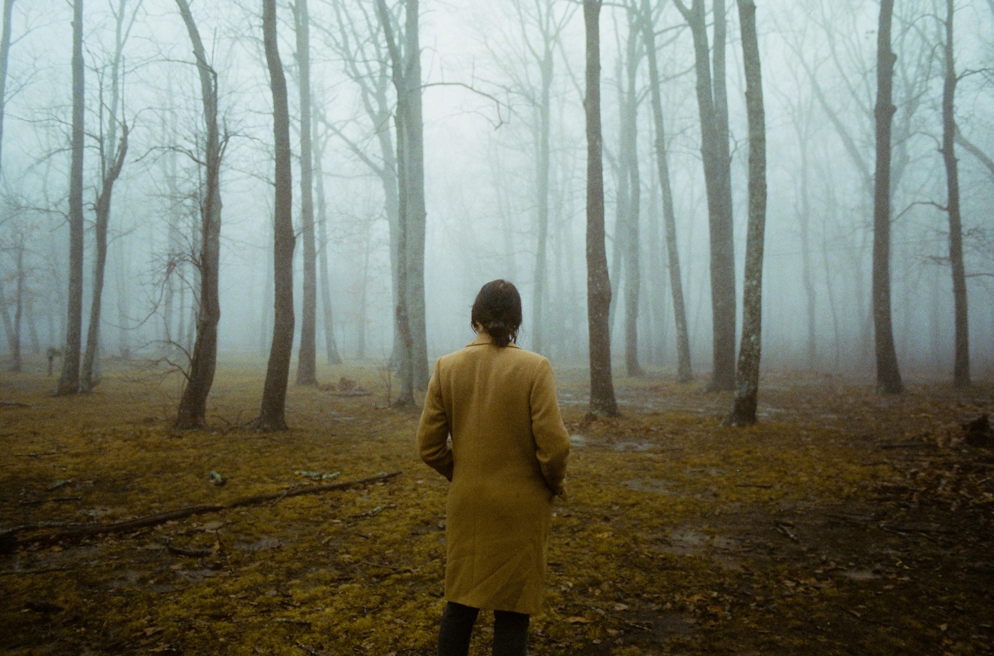 A person in a long coat stands in a foggy forest with bare trees and a ground covered in moss.