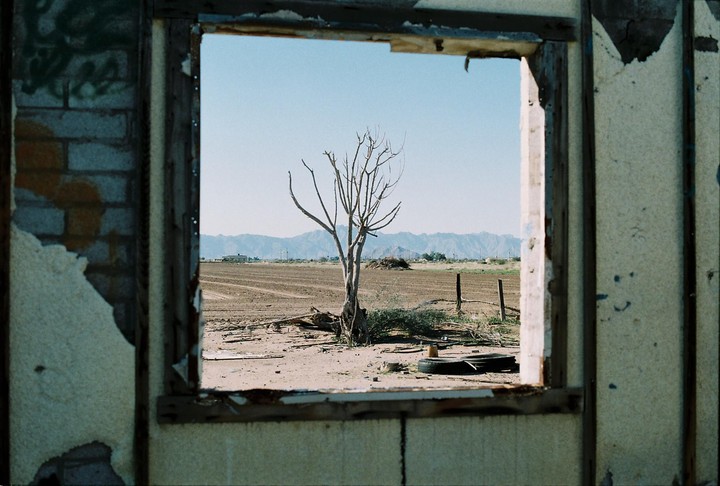 A barren tree stands in a field with mountains in the distance, viewed through a broken window frame.