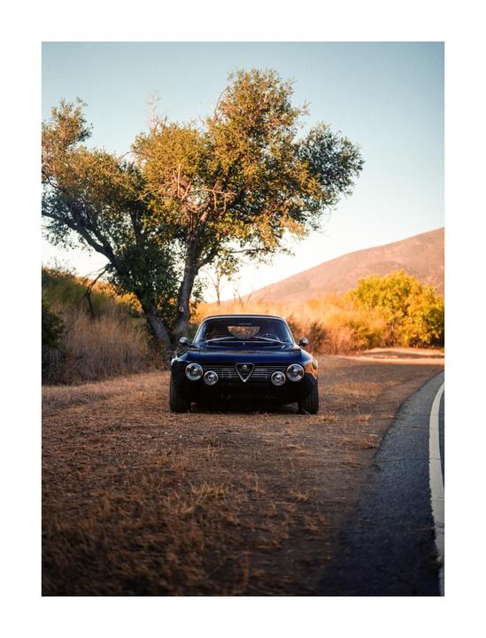 A blue car is parked on the side of a road next to a large tree with a mountain in the background.