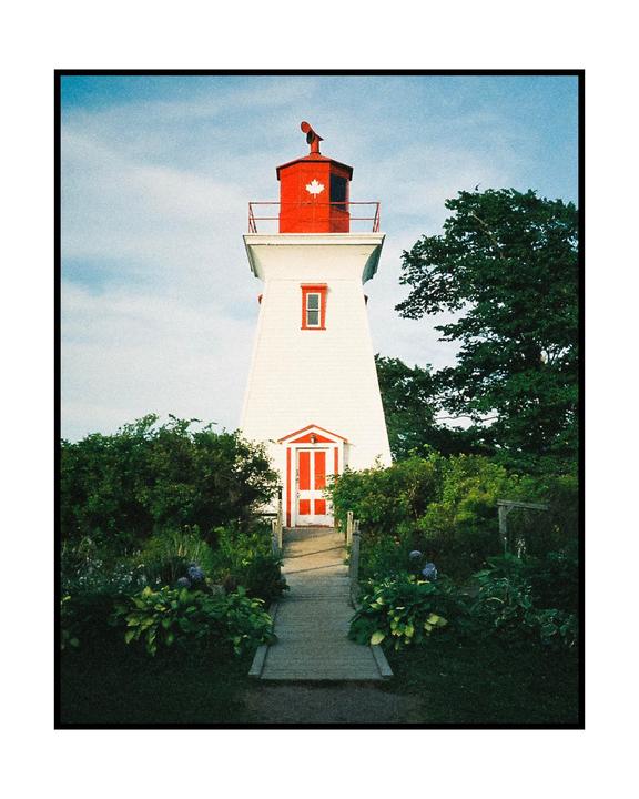 A white lighthouse with a red top and door stands among green foliage under a blue sky.