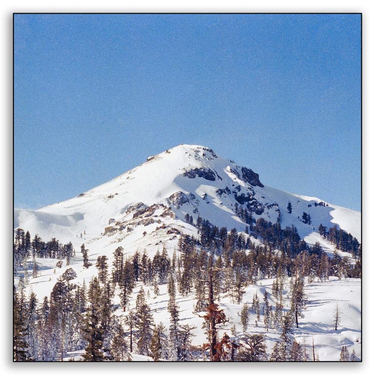 A snow-covered mountain with pine trees is visible under a clear blue sky.
