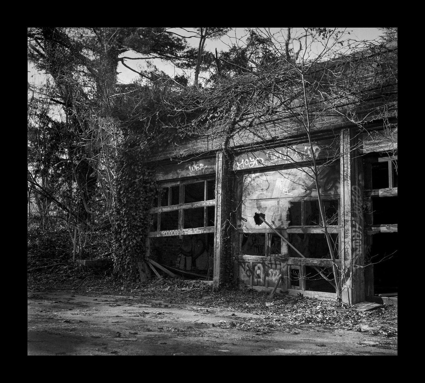 An abandoned building with broken windows and graffiti is overgrown with vines and bare trees.