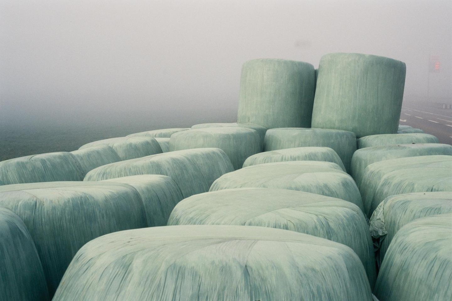 A field of hay bales wrapped in light green plastic sits beside a road on a foggy morning.