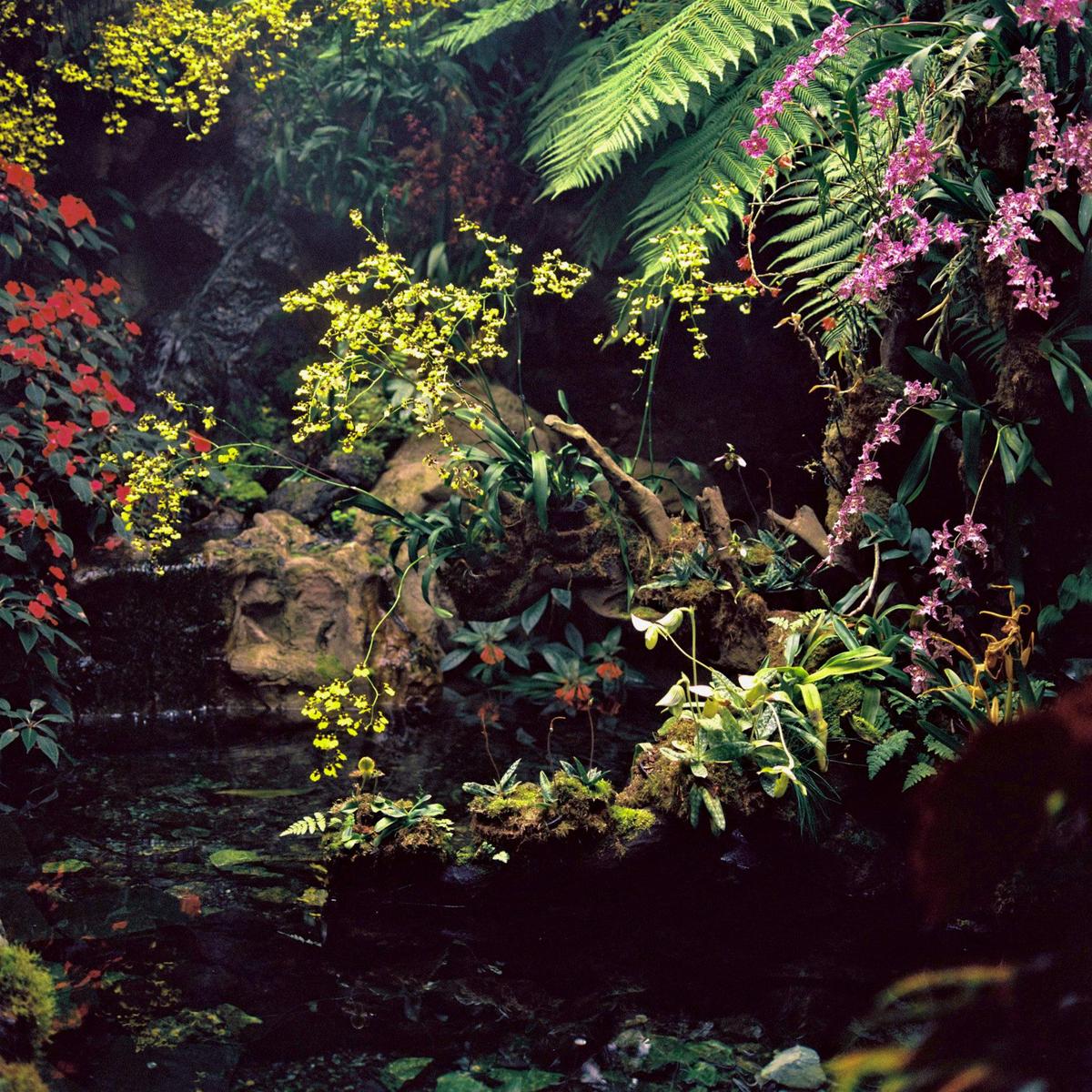 A variety of colorful flowers and green plants grow around a small pond.