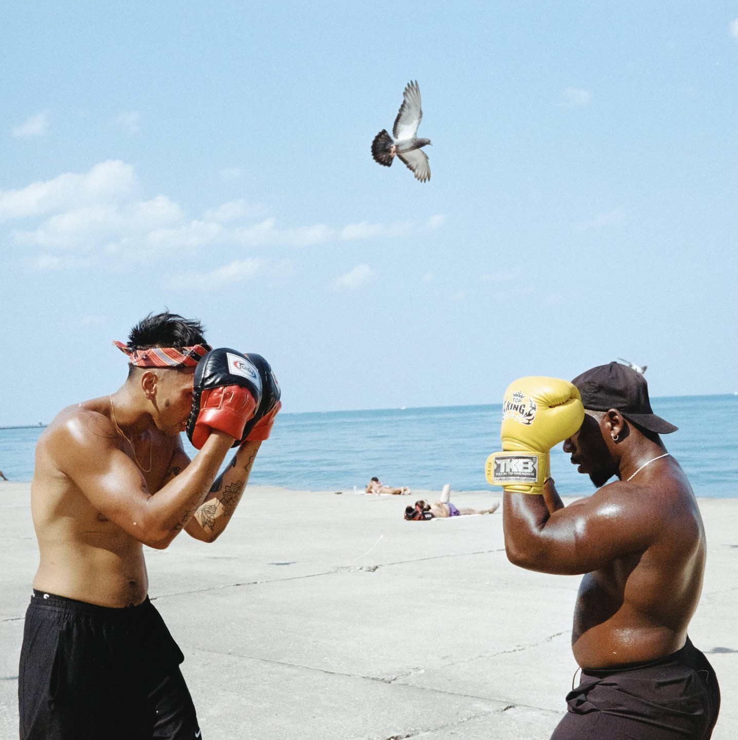 Two men wearing boxing gloves face each other on a concrete beach with a pigeon flying overhead.