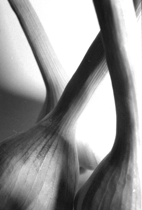 Three garlic bulbs are arranged in a still life composition.