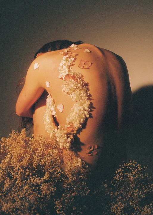 A person's back is adorned with flowers and surrounded by baby's breath.