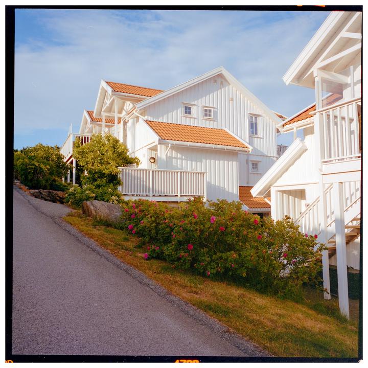 White houses with orange roofs are visible on a hillside next to a paved road and flowering bushes.