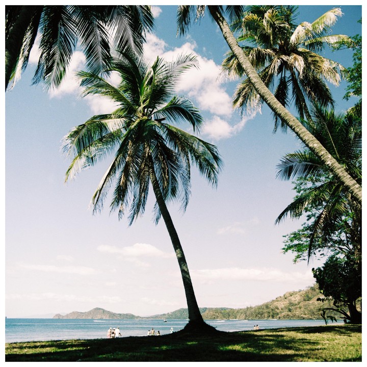 Palm trees frame a view of a beach with people and mountains in the distance.