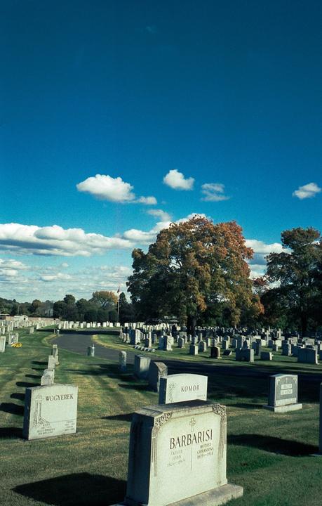 A cemetery with numerous gravestones and a large tree with autumn foliage is visible under a bright blue sky with scattered clouds.