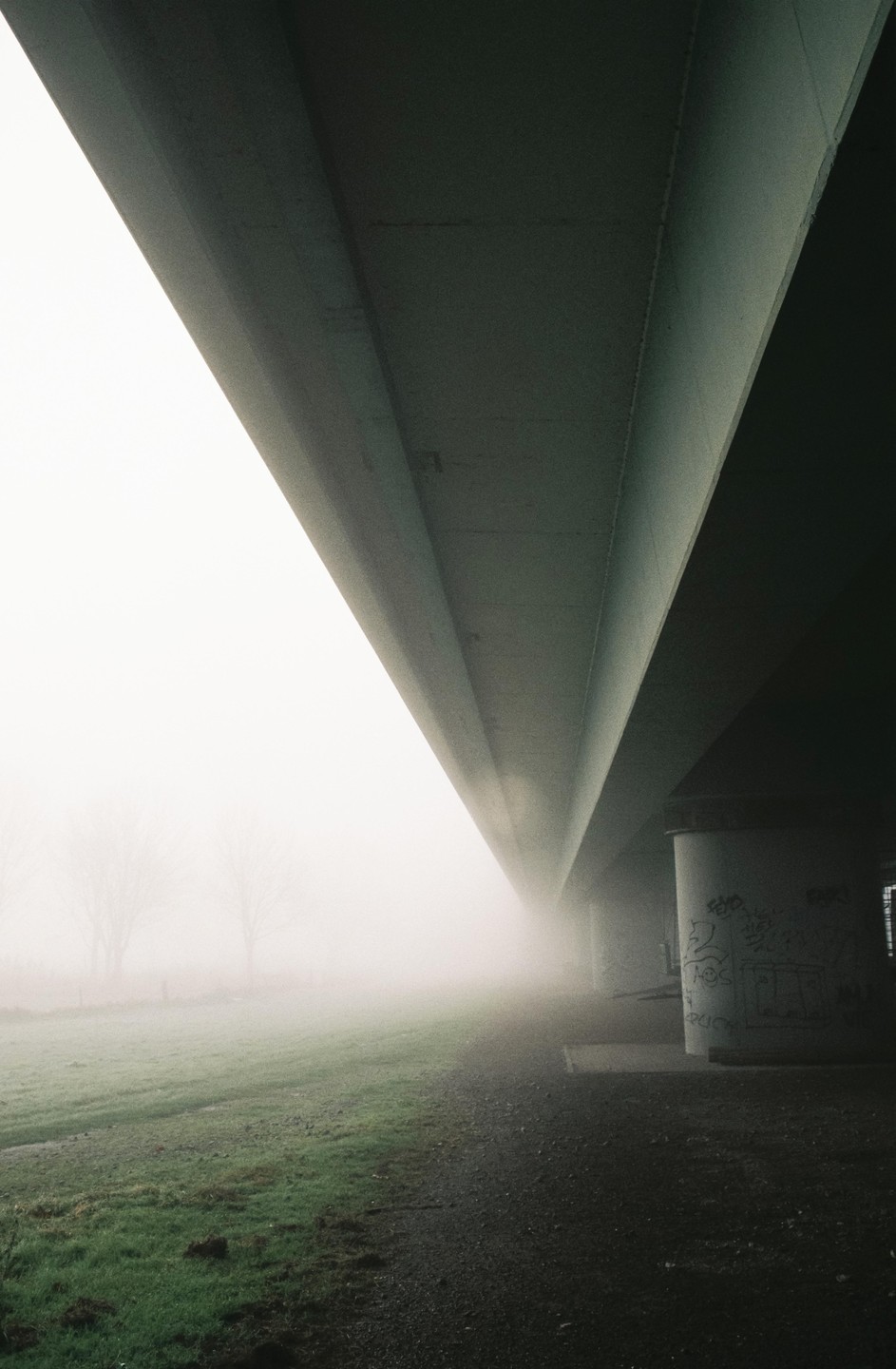 A foggy landscape is visible from underneath a concrete overpass with graffiti on its pillars.