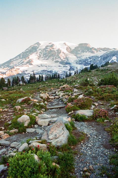 A rocky path leads up a grassy hill towards a snow-capped mountain under a clear sky.