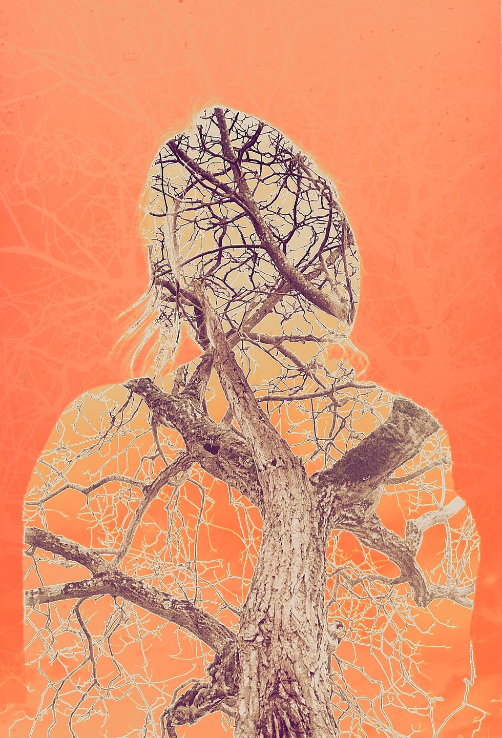 A double exposure shows the silhouette of a person filled with a tree against an orange background.