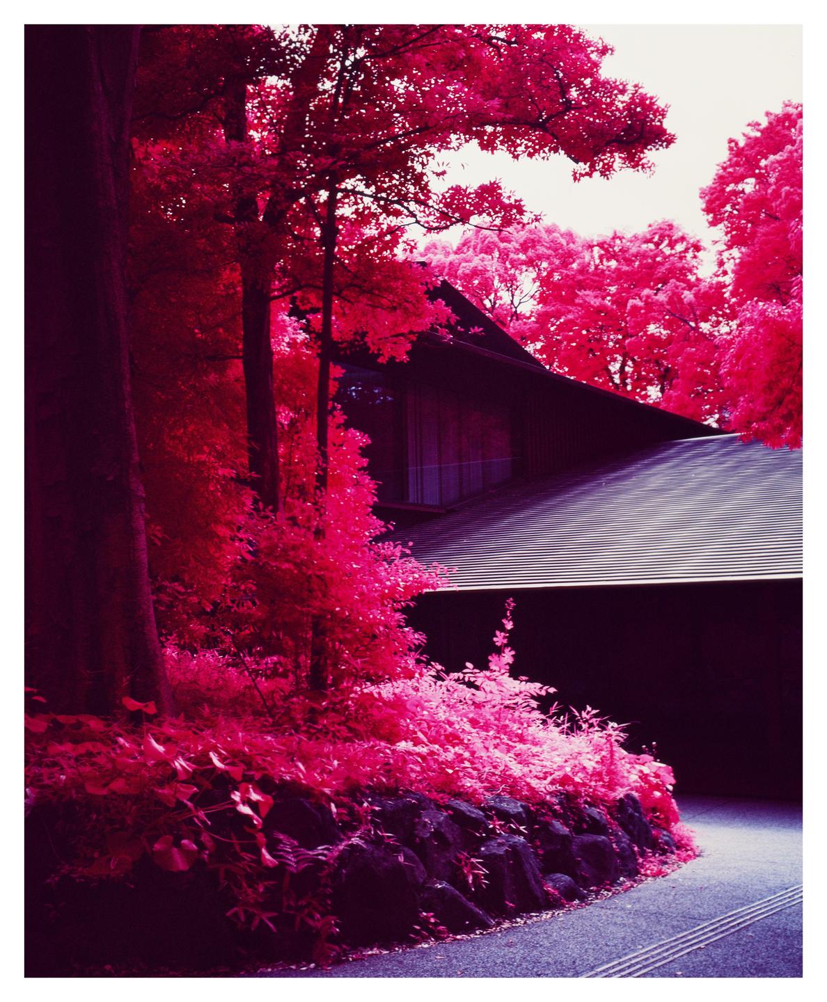 A building with a dark roof is surrounded by bright red foliage and trees.