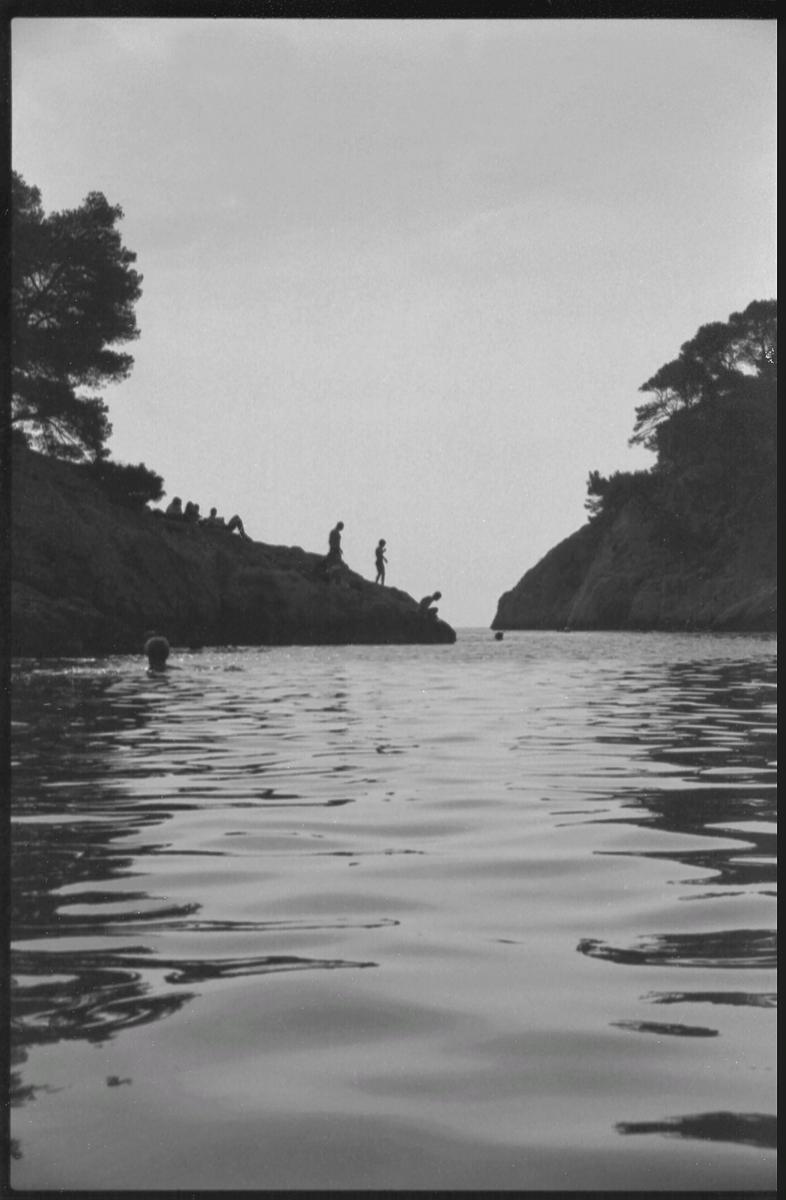 A group of people are silhouetted on a rocky shore with trees, with one person swimming in the water.