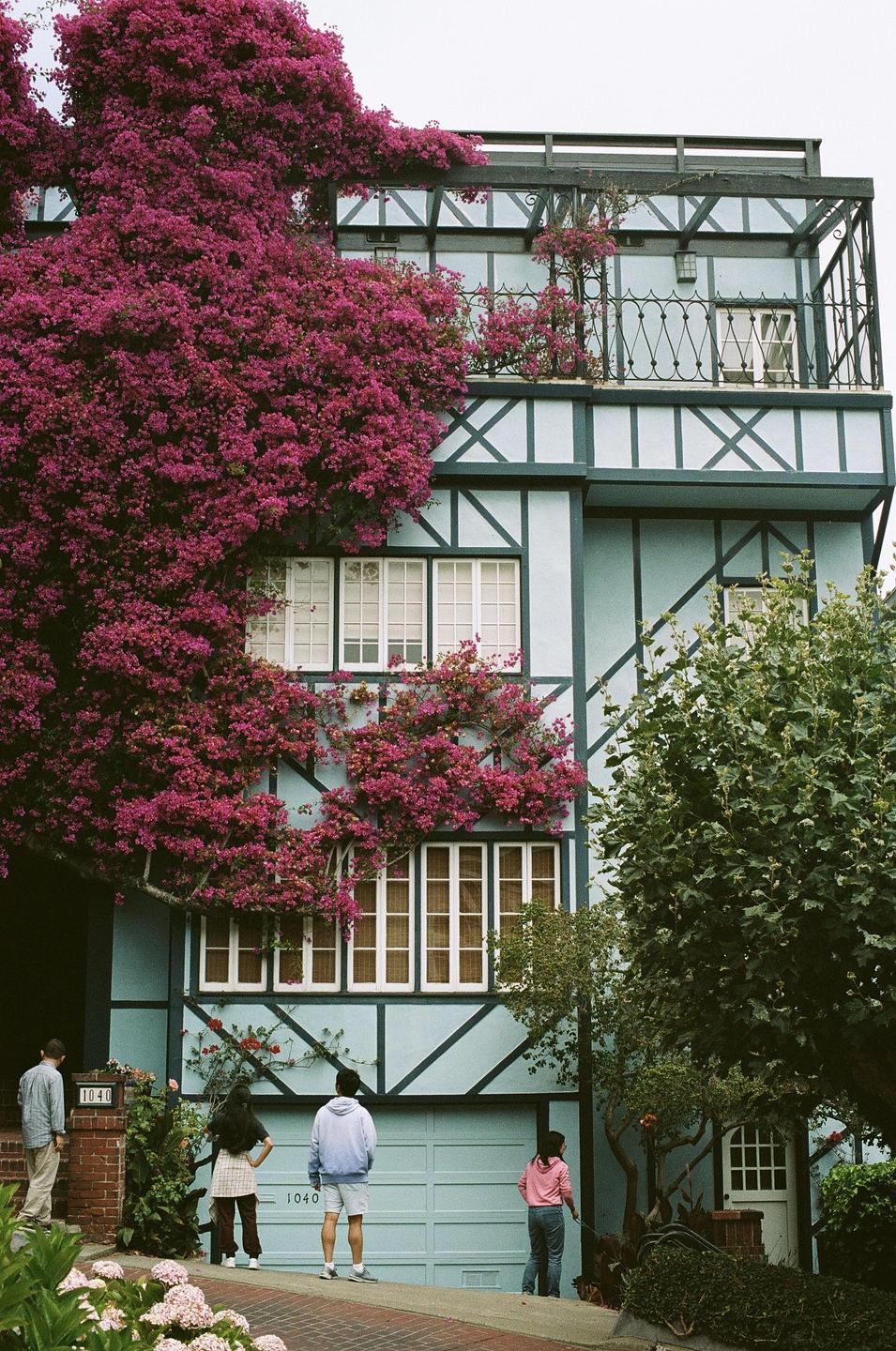 A light blue house with dark trim is covered in bright pink bougainvillea, with four people standing on the sidewalk in front of it.