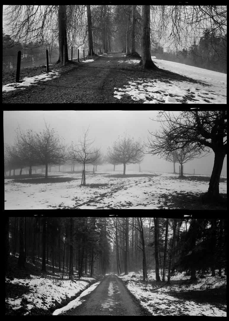 first roll with my "tuned" holga 120pan [90mm angulon, kentmere 400 +1], shot on KENTMERE 400