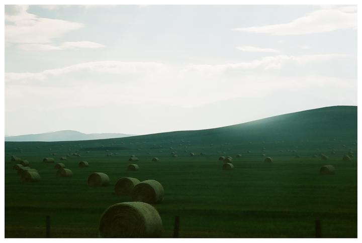 A vast green field with numerous round hay bales stretches towards distant hills under a cloudy sky.