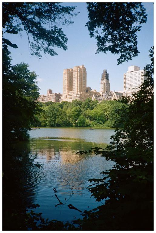 A body of water with buildings and trees on its banks is framed by dark foliage.
