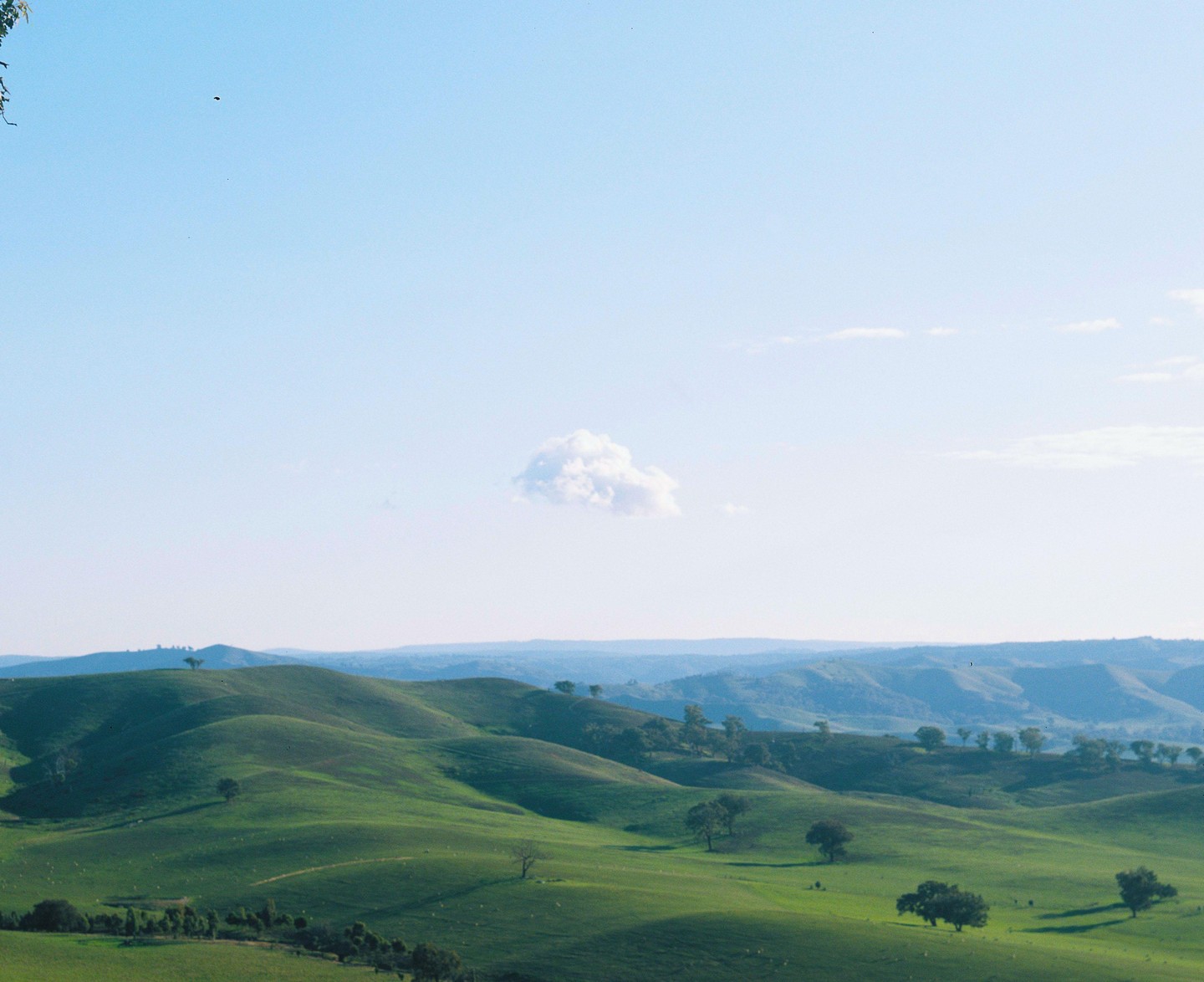 A single cloud floats above rolling green hills dotted with trees.