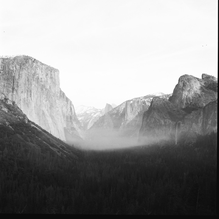 A valley with a forest and mountains is covered in fog.